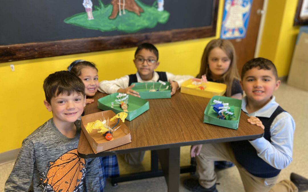 Grade 2 Insects