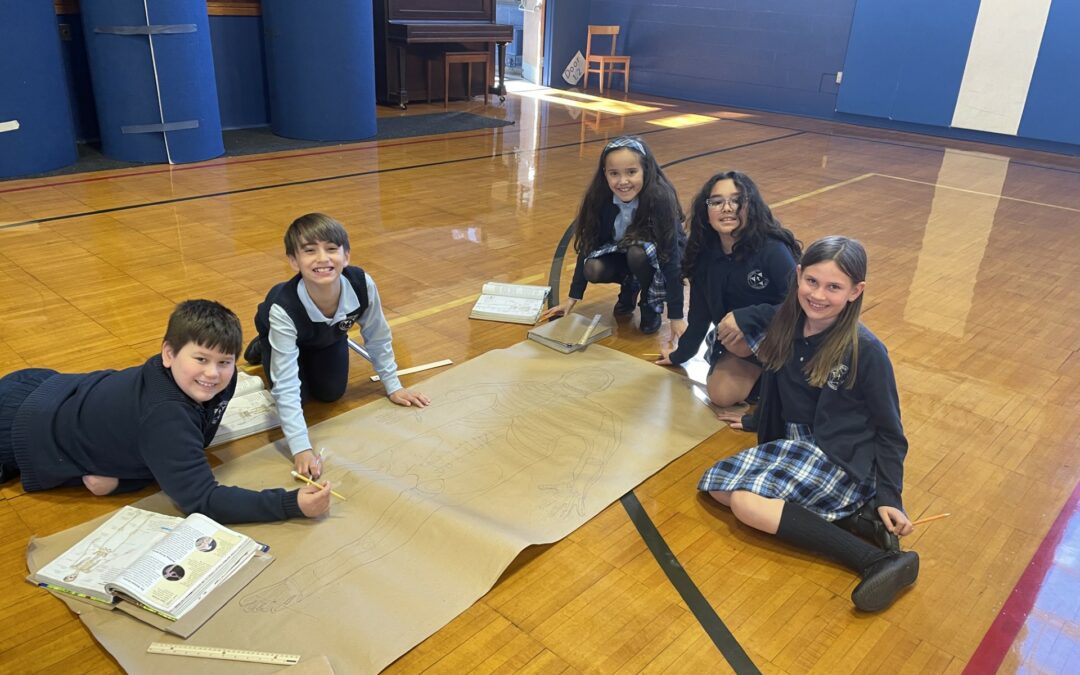 Grade 4 Skeletons